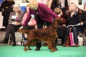 Crufts2011 433